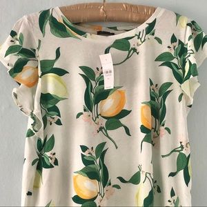 NWT Shirt - Ann Taylor - Flutter Sleeve Top - Lucy Lemons Shirt - Size XL - NEW